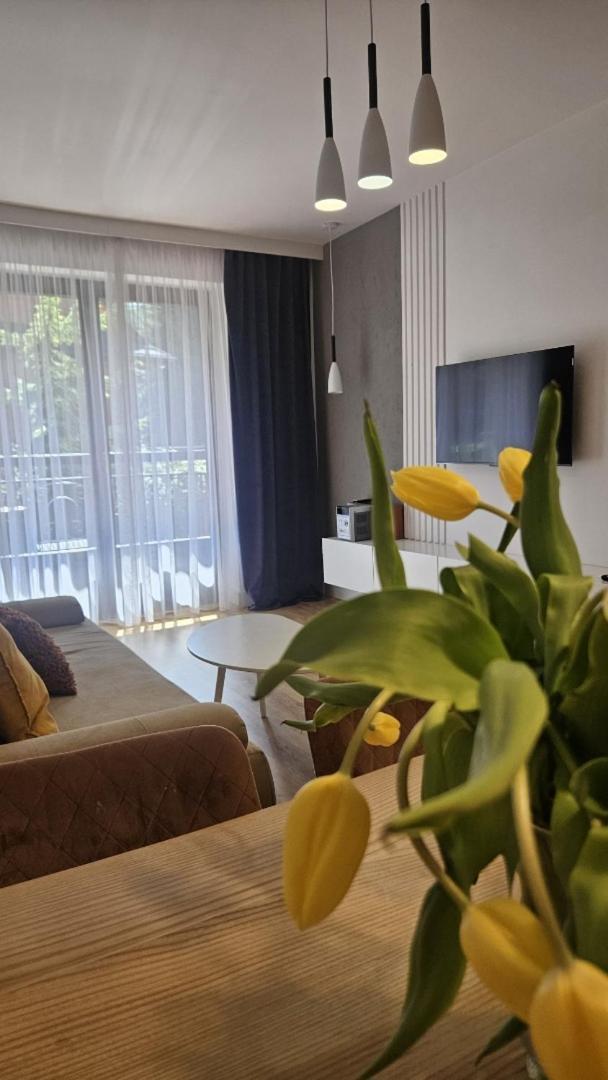 Apart4You Apartamenty Bulwary25 Закопане Стая снимка
